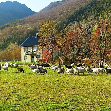 6 Person In Alsv G Ferienhaus *
