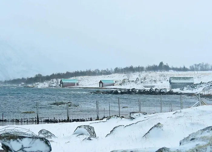 6 Person In Alsvag-by Traum *