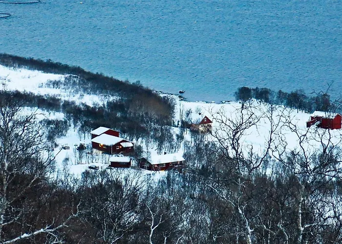 6 Person In Alsvag-by Traum * Gisloy